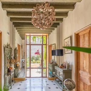 Le Jardin Des Cordeliers Tarascon